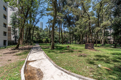 Imagen 24 de 24 de Bosques De Las Lomas, Excelente Departamento En Renta Con In