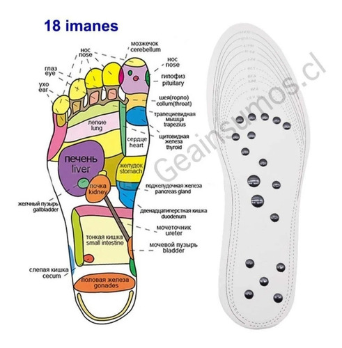 Plantilla Magnéticas - Para Tus Pies
