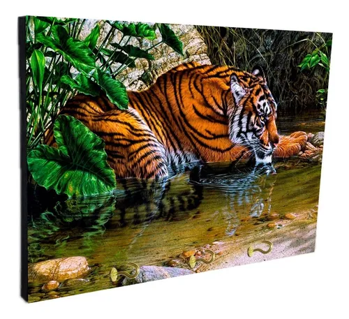 Porta Llaves De Pared Tigres Varios Modelos 15x20cm (22)