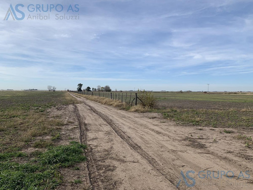 Imagen 10 de 25 de Excelente Campo Agricola De 62,73 Has.