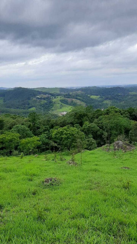 Imagem 4 de 14 de Terrenos Em São Roque Interior De São Paulo