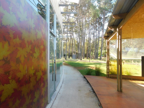 Local A La Venta Y Alquiler En Solanas- Ref: 5776
