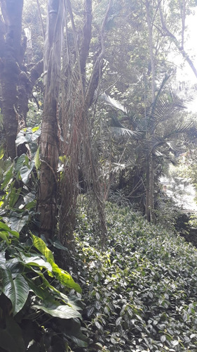 Imagem 25 de 30 de Embu Condomínio Do Bosque, Casa Com 4 Dormitórios Sendo 1 Suíte,3 Salas,útil De 400m² - Ca00198 - 70640268