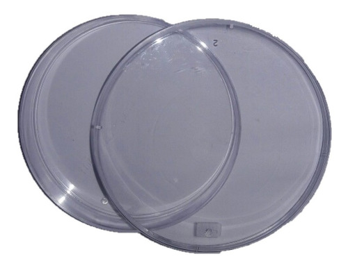 Bolsa De Caja Petri (50piezas) De Plástico De 100x15mm
