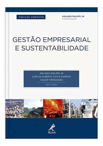 Gestão empresarial e sustentabilidade, de Philippi Junior, Arlindo. Editorial Editora Manole LTDA, capa mole em português, 2016