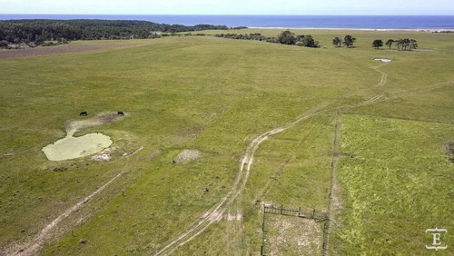 Campo En Venta