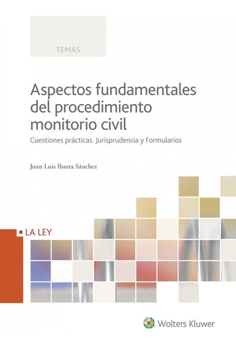 Aspectos Fundamentales Procedimiento Monitorio Civil