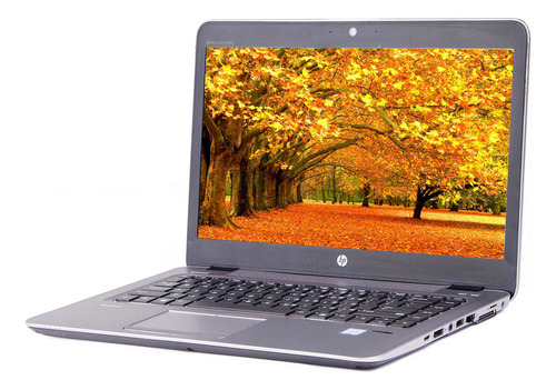 Notebook Hp Elitebook 840 G3 Core I5-6300u 8gb Ssd 240gb - Excelente (Recondicionado)