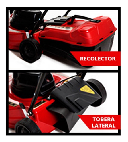 Imagen 4 de 7 de Cortadora De Cesped Petri 1.5 Hp Con Bolsa Recolectora