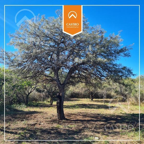 Imagen 3 de 11 de Venta Terreno - Padre Tissera Merlo San Luis