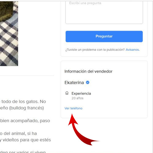 Imagen 10 de 10 de Pension Felina Canina Razas Pequeñas Individual En Recoleta