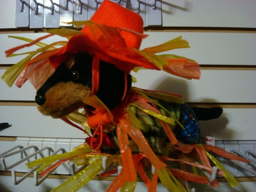 Imagen 4 de 8 de Disfraz Halloween Espantapajaros Perro Talla 1
