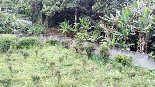 Imagem 1 de 17 de Chácara Residencial À Venda, Horto Florestal, São Paulo. - Ch0006