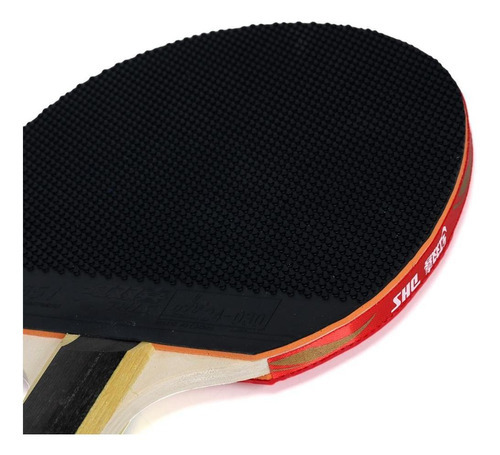 Raquete De Tênis De Mesa Dhs Clássica H1003 Ittf Approved