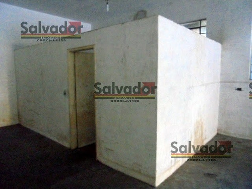 Imagem 9 de 15 de Galpão Na Vila Moraes - São Paulo - 5674