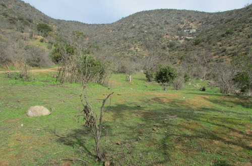 Vende 10 Hectareas, Rol Propio, Geografia Variada, Curacaví