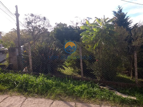 Imagem 8 de 15 de Terreno - Tr015_2-1189742