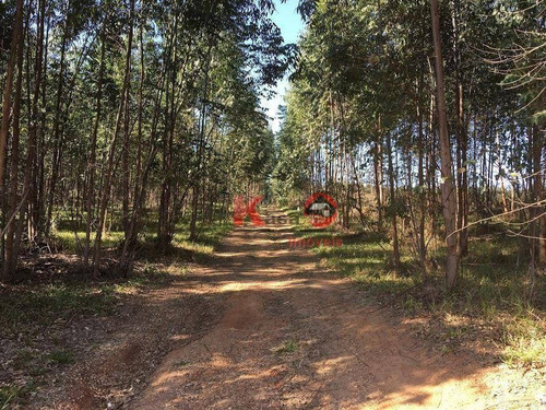 Imagem 6 de 30 de Chácara Com 4 Dormitórios À Venda, 135520 M² Por R$ 1.500.000,00 - Campinho - São Manuel/sp - Ch0016