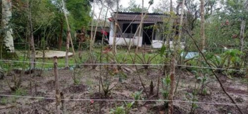 Imagem 8 de 25 de Chácara Com 50.000 M² De Área Total E Com Horta, Lago, Riacho, Pomar E Cozinha Caipira, No Bairro Gaivota, Em Itanhaém Ref: 9242/ac