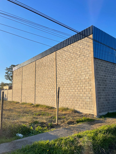 Bloque Ladrillo Liso 12x19x39