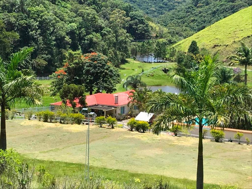 Imagem 11 de 14 de Excelente Fazenda Com 66 Hectares, Aconchego E Beleza