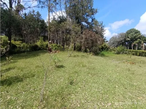 Vendo Lote En Llano Grande Vereda Cabeceras De 6.307 M² Sobre Vía
