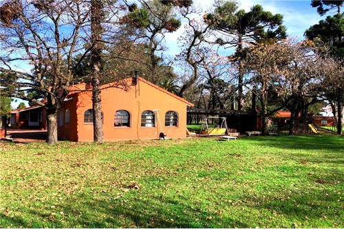 Imagen 11 de 21 de Venta Campo De 195 Ha. En Manzanares Pilar - Único