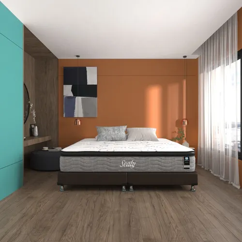 Sealy evolution sale king size