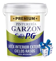 Comprar 18l Pintura Int Ext Cielos Antihongos Pg Premium + Regalo