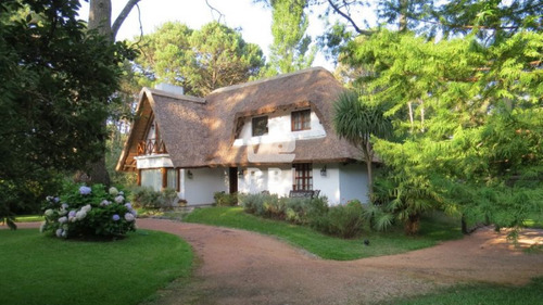 Alquiler Temporario De Casa 4 Dormitorios En Portezuelo Bosque, Punta Ballena