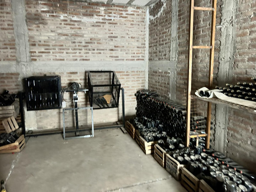Finca, Bodega Artesanal Y Casa En San Rafael, Medoza.