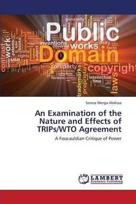 Libro An Examination Of The Nature And Effects Of Trips/w...