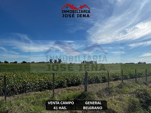 Campo De 41 Hectáreas Mixtas En Venta - General Belgrano, Provincia De Buenos Aires.