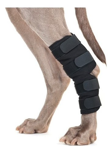 Protector De Tarso Para Perro, Ortopedia Canina