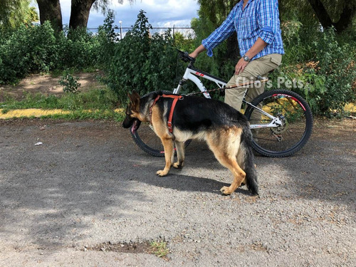 Correa Perro Para Bicicleta