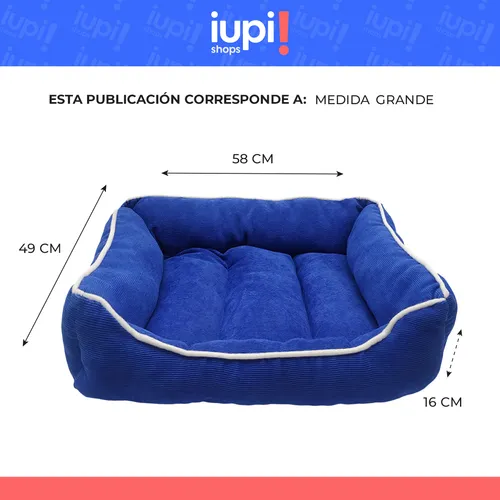 Moises perro grande new arrivals