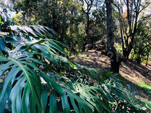 Terreno Venta Cocuatla Tepoztlan San Juan Tlacotenco Ocotes Tepoztlan Morelos