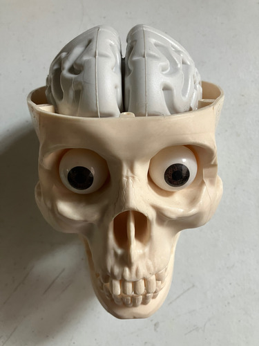 Colección: El Cuerpo Humano (sin Postes Y Sin Base) (Usado)