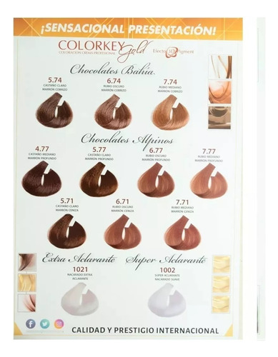 12 Pomos De Tinturas Colorkey Gold Silkey + Oxidante Regalo