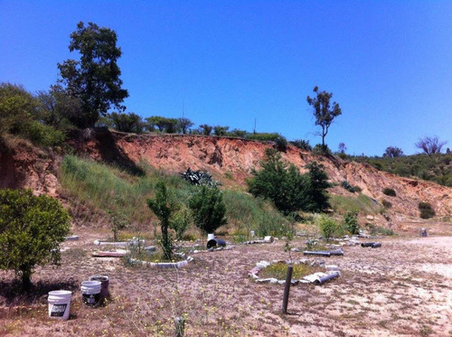 Imagen 3 de 9 de 12,7 Há Villa Alemana Para Proyecto Inmobiliario