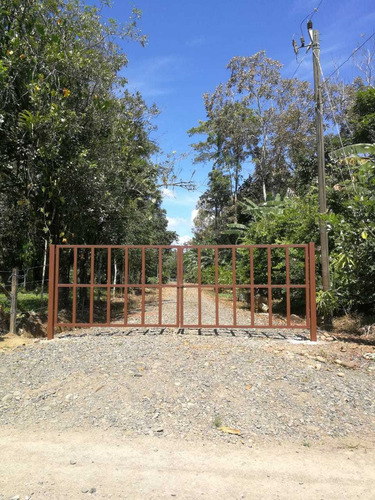 Imagen 8 de 14 de Lotes En El Molino (2000m2)