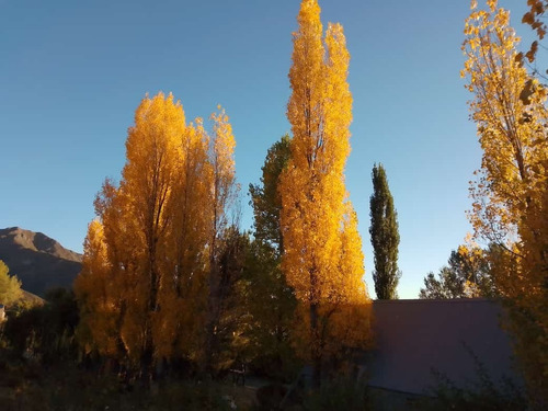 Imagen 9 de 17 de Vendo Campo De 300ha, San Rafael, Mendoza