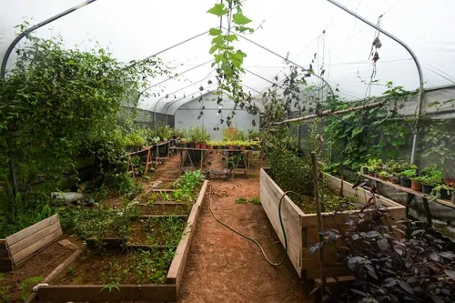 Precioso Rancho Botánico En Venta