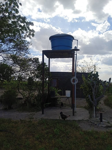 Imagen 5 de 15 de Se Vende Finca Via Al Sur Ve02-1303vs-dfer