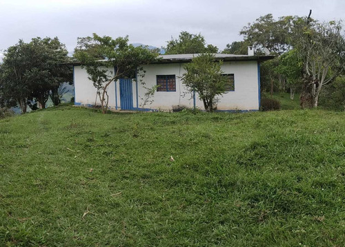 Imagen 2 de 30 de Casa De Campo, Galpón, Café, Siembra, Proyecto De Vino