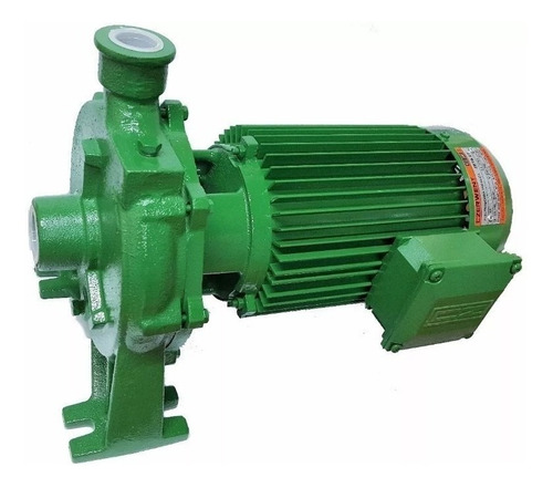 Imagen 2 de 2 de Bomba centrífuga monofásica Czerweny Zeta 4 1.5hp color verde 50Hz 220V