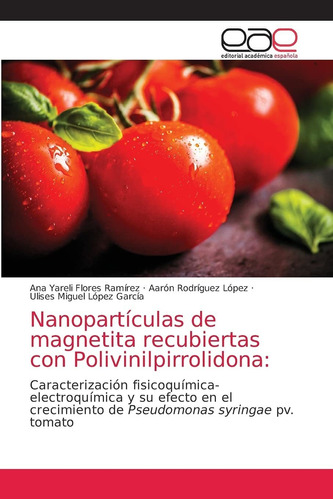 Libro Nanopartículas De Magnetita Recubiertas Con Poli Lcm10