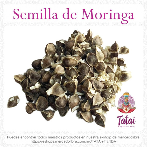 Tatai Tienda | Semilla De Moringa 250g | Herbolaria Mx