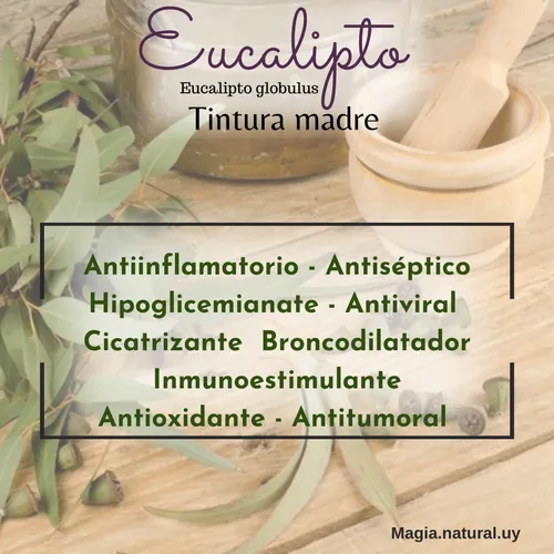Tintura Madre De Ortiga.30ml. Magia Natural.