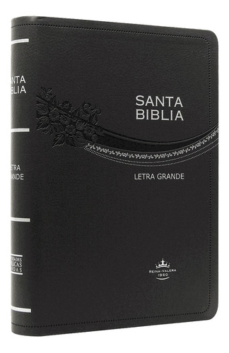 Biblia Reina Valera 1960 Letra Grande Concordancia Gris